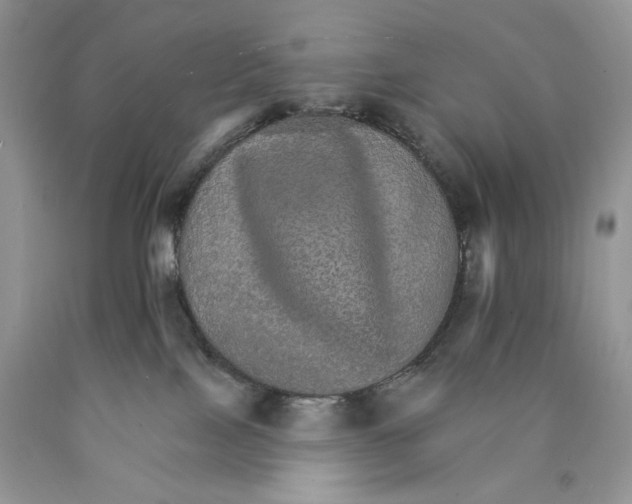 X0000089940089200707271827