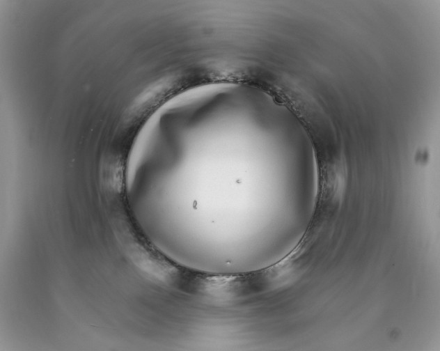 X0000089940090200707271827