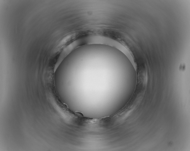 X0000089940092200707271827
