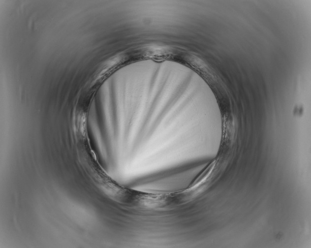 X0000089940094200707271827