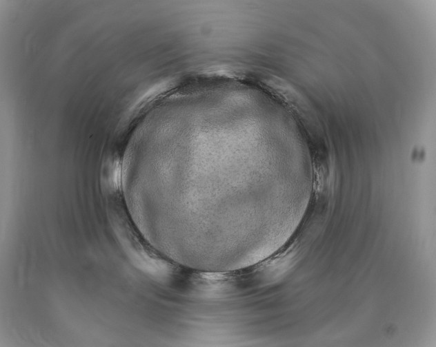 X0000089940095200707271827