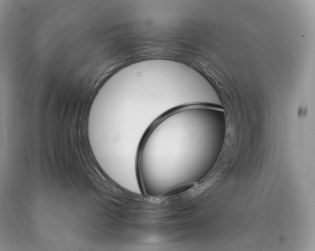 X0000089940096200707271827