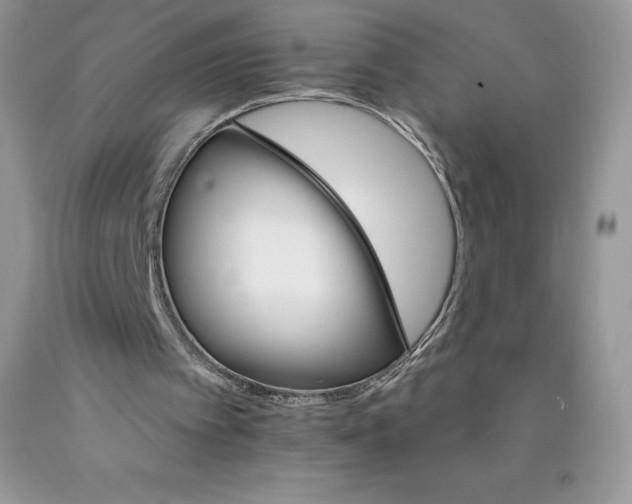X0000089940097200707271827