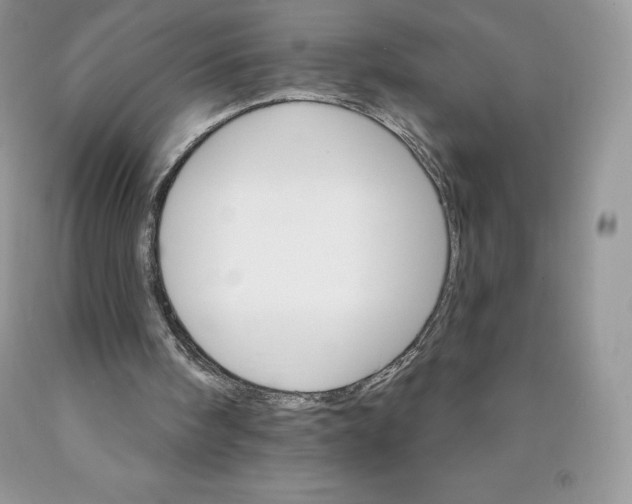 X0000089940098200707271827
