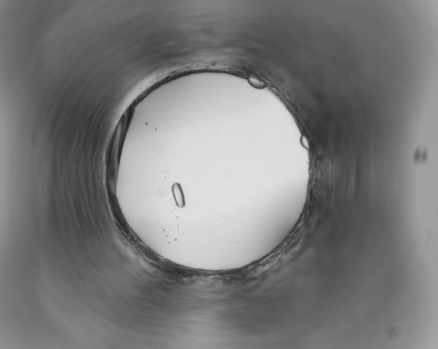 X0000089940100200707271827