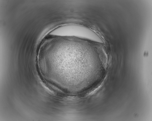 X0000089940101200707271827