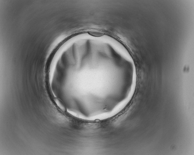 X0000089940102200707271827