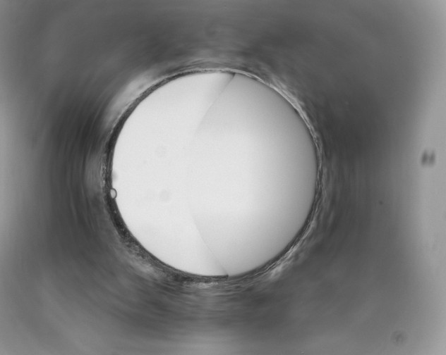 X0000089940103200707271827