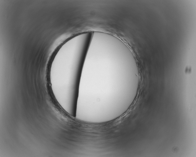 X0000089940104200707271827