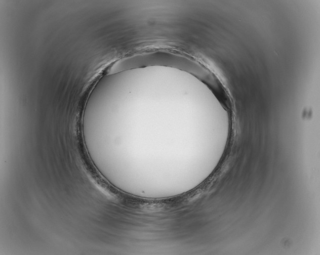 X0000089940105200707271827
