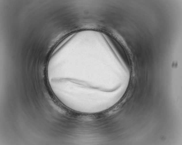 X0000089940106200707271827
