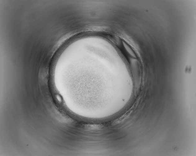 X0000089940107200707271827
