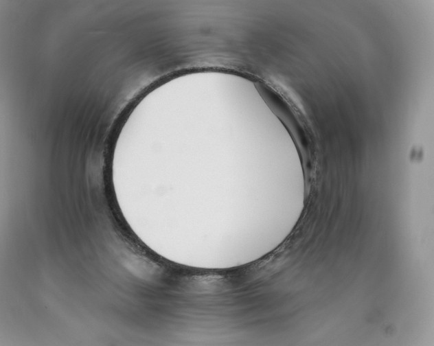 X0000089940108200707271827