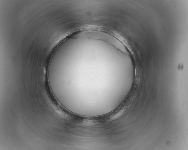 X0000089940109200707271827