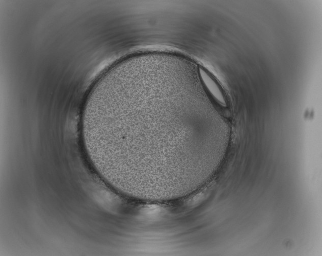X0000089940111200707271827