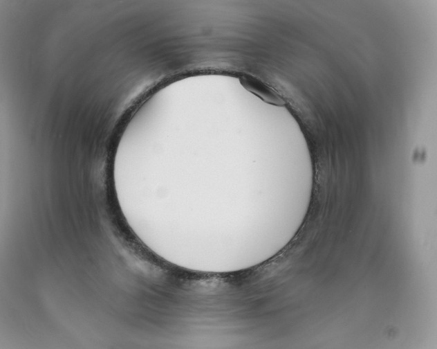 X0000089940112200707271826