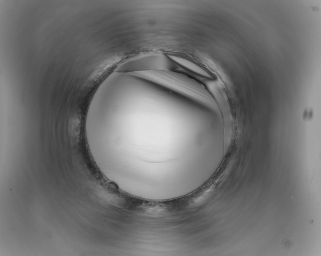X0000089940113200707271826
