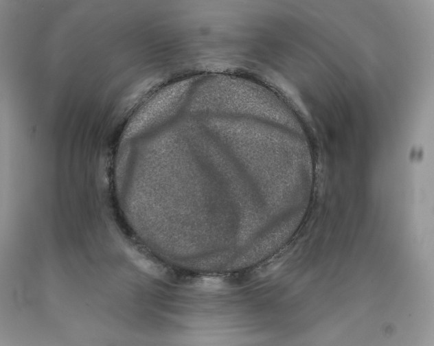 X0000089940114200707271826