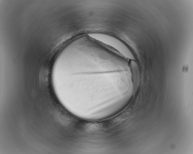 X0000089940115200707271826