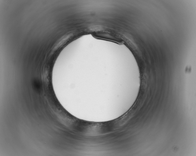 X0000089940116200707271826