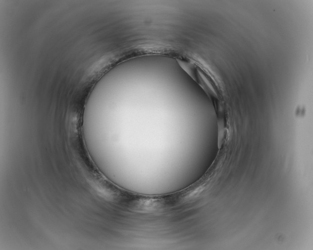X0000089940117200707271826