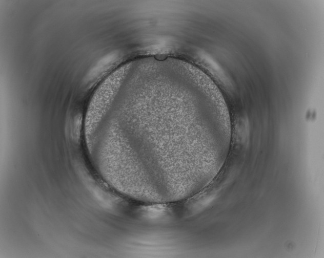 X0000089940118200707271826