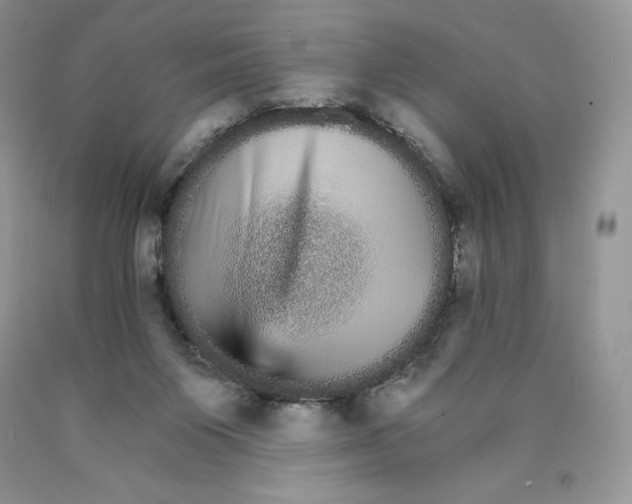 X0000089940119200707271826