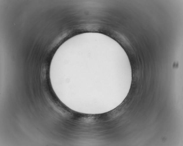 X0000089940120200707271826