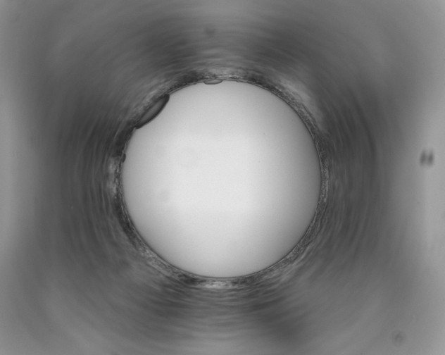 X0000089940121200707271826
