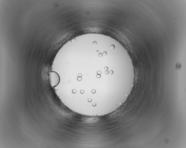 X0000089940122200707271826