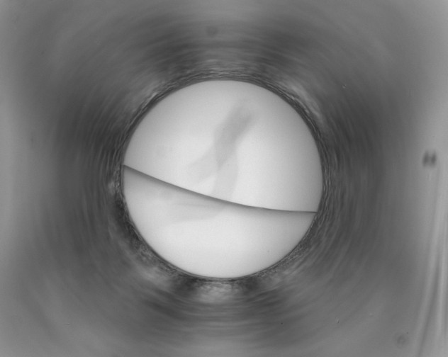 X0000089940123200707271826