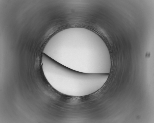 X0000089940124200707271826