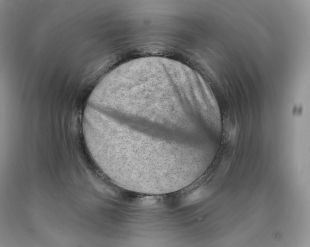 X0000089940126200707271826