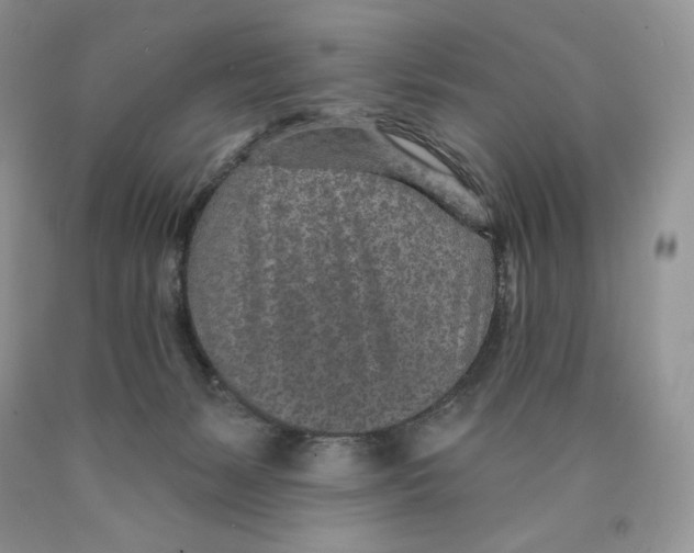 X0000089940127200707271826