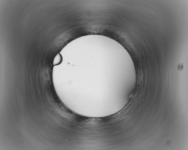 X0000089940128200707271826