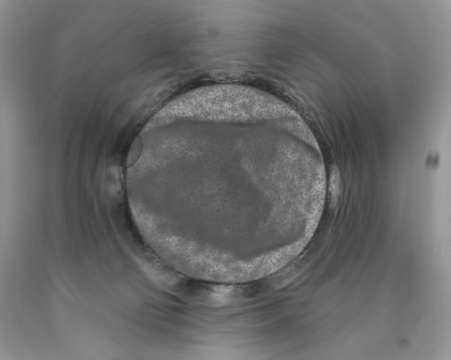 X0000089940130200707271826