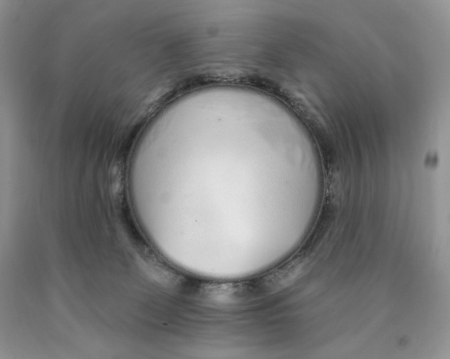 X0000089940131200707271826