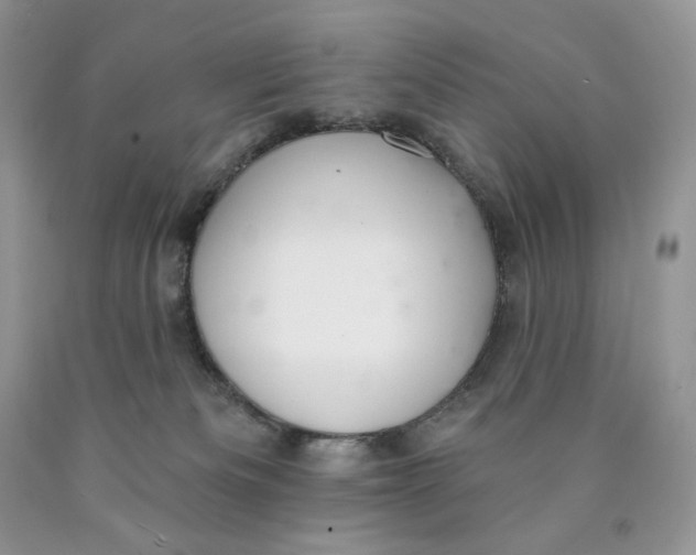 X0000089940133200707271826