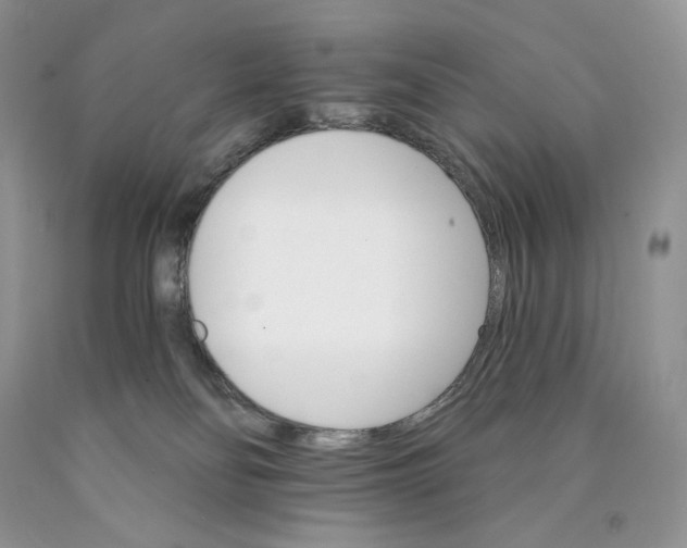 X0000089940134200707271826