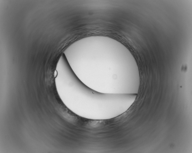X0000089940136200707271826
