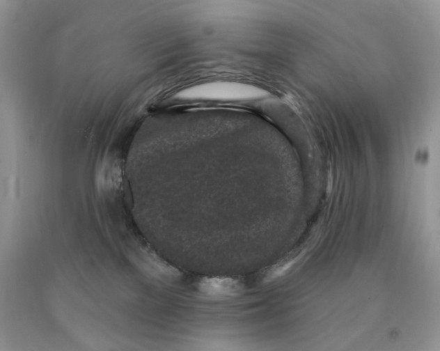 X0000089940137200707271826