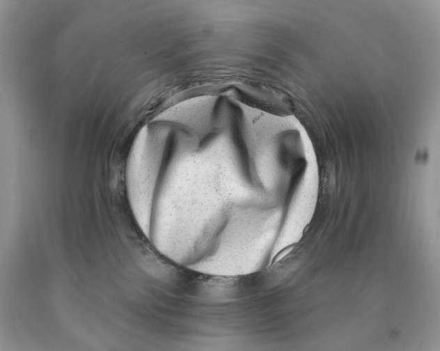 X0000089940138200707271826