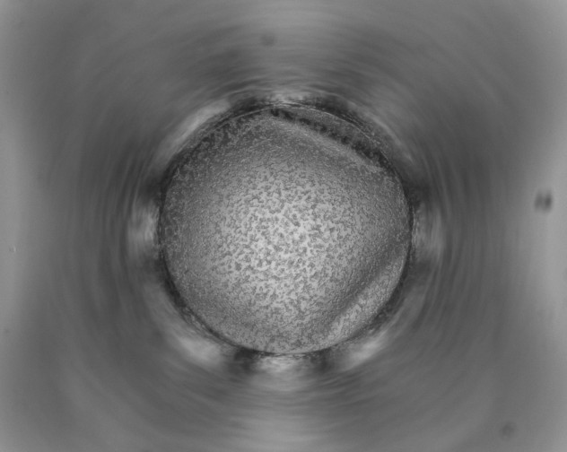 X0000089940139200707271826