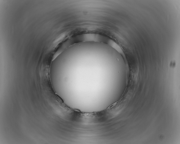 X0000089940141200707271826