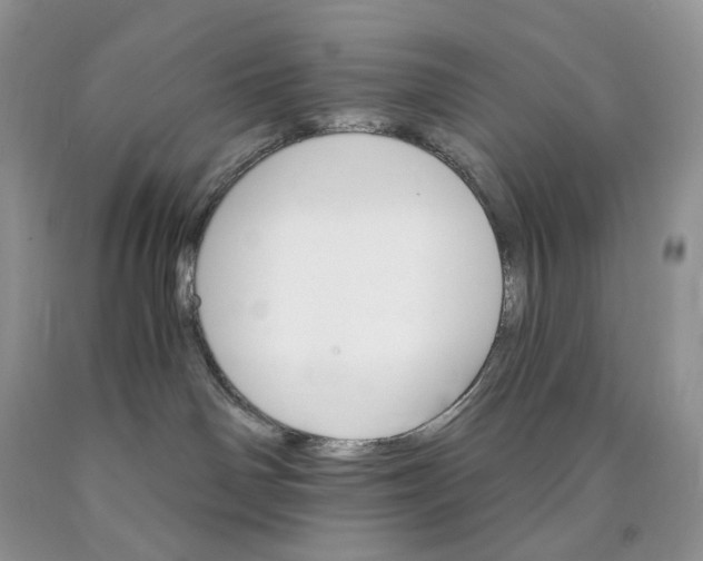 X0000089940142200707271826