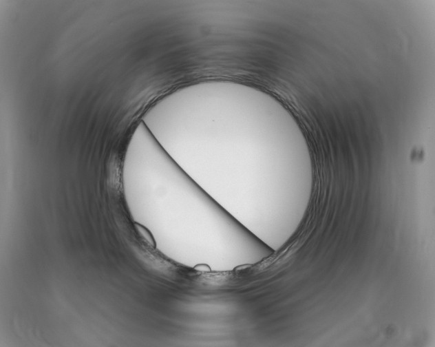 X0000089940143200707271826