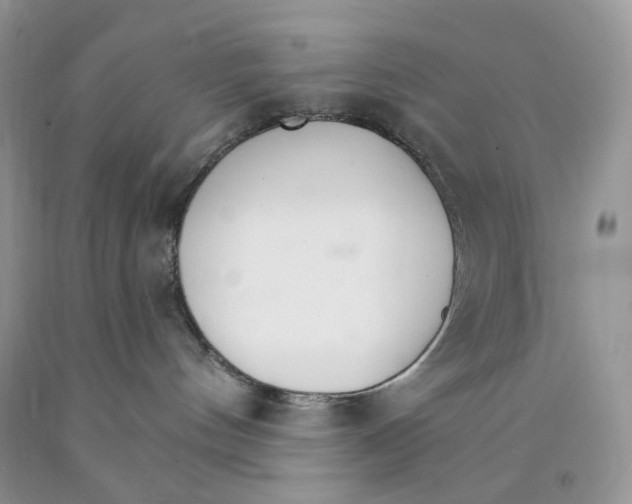 X0000089940144200707271826