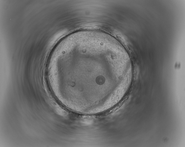 X0000089940145200707271825