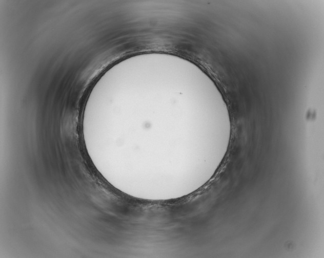 X0000089940146200707271825