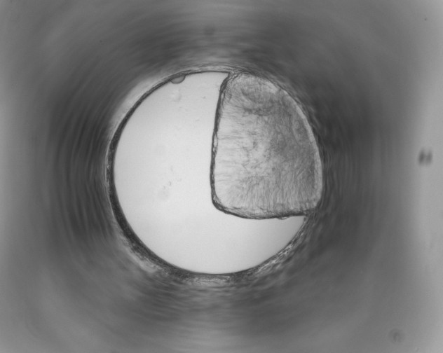 X0000089940147200707271825